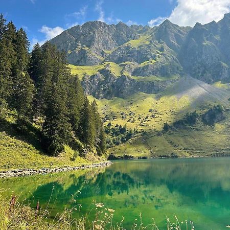 Alpine Dream Chalet With Spa Close To Lake Geneva 레모스 외부 사진