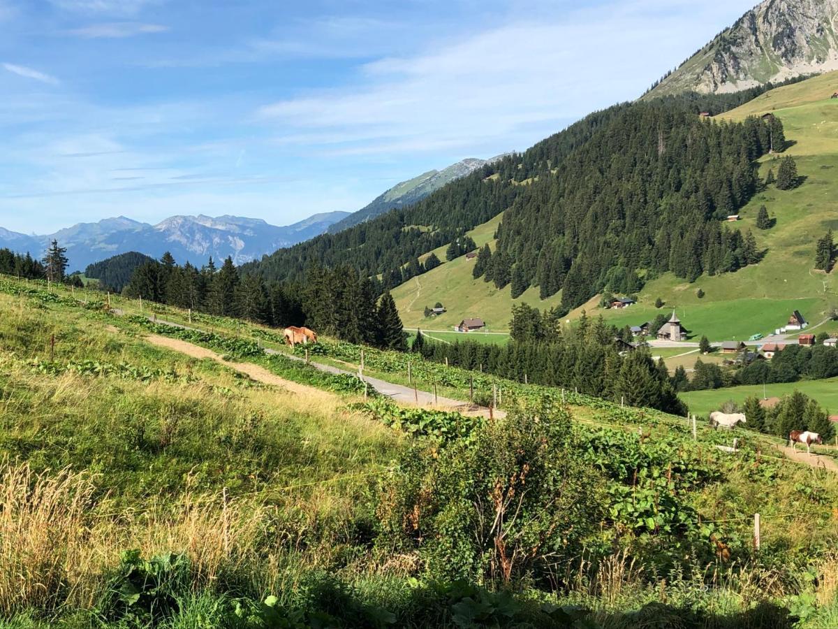 Alpine Dream Chalet With Spa Close To Lake Geneva 레모스 외부 사진