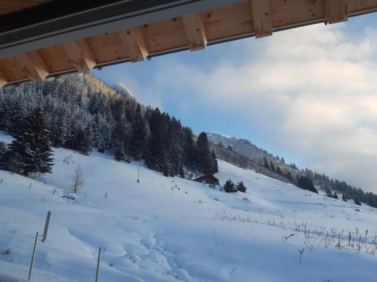 Alpine Dream Chalet With Spa Close To Lake Geneva 레모스 외부 사진